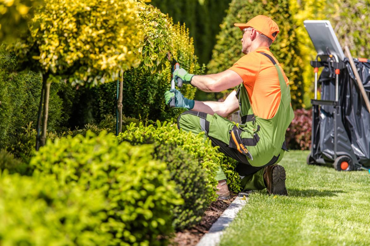 préparer jardin printemps