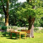 comment donner du relief à son jardin