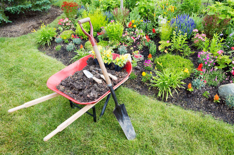 Vacances d’été : comment préparer votre jardin en votre absence ?