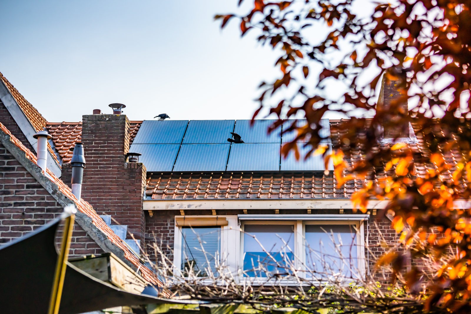 3 conseils pour optimiser le rendement de ses panneaux solaires