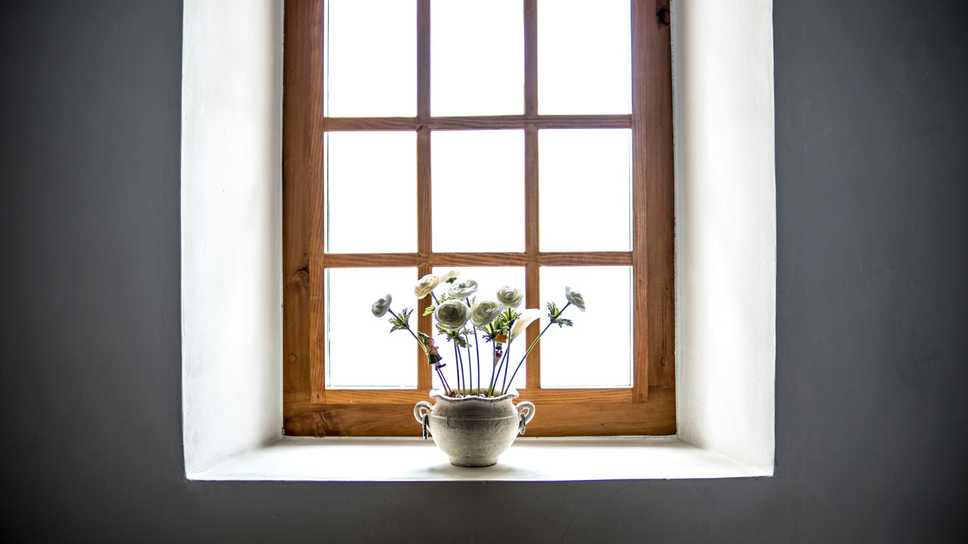 Fenêtres : comment être sûr de faire le bon choix pour votre maison ?